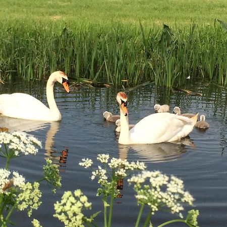 Friesland-Cottage Molkwerum المظهر الخارجي الصورة