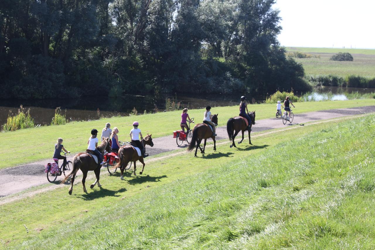 Friesland-Cottage Molkwerum المظهر الخارجي الصورة