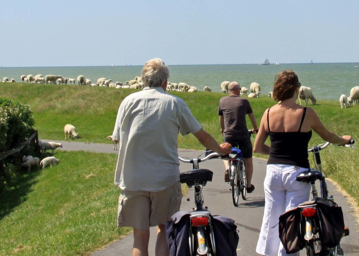 Friesland-Cottage Molkwerum المظهر الخارجي الصورة